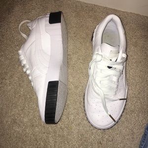 White Pumas